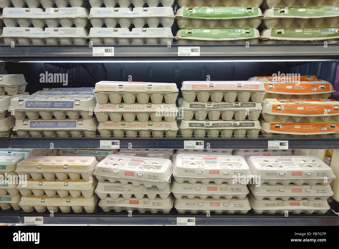 Cartones de huevos en un supermercado en Toronto, Canadá Foto de stock