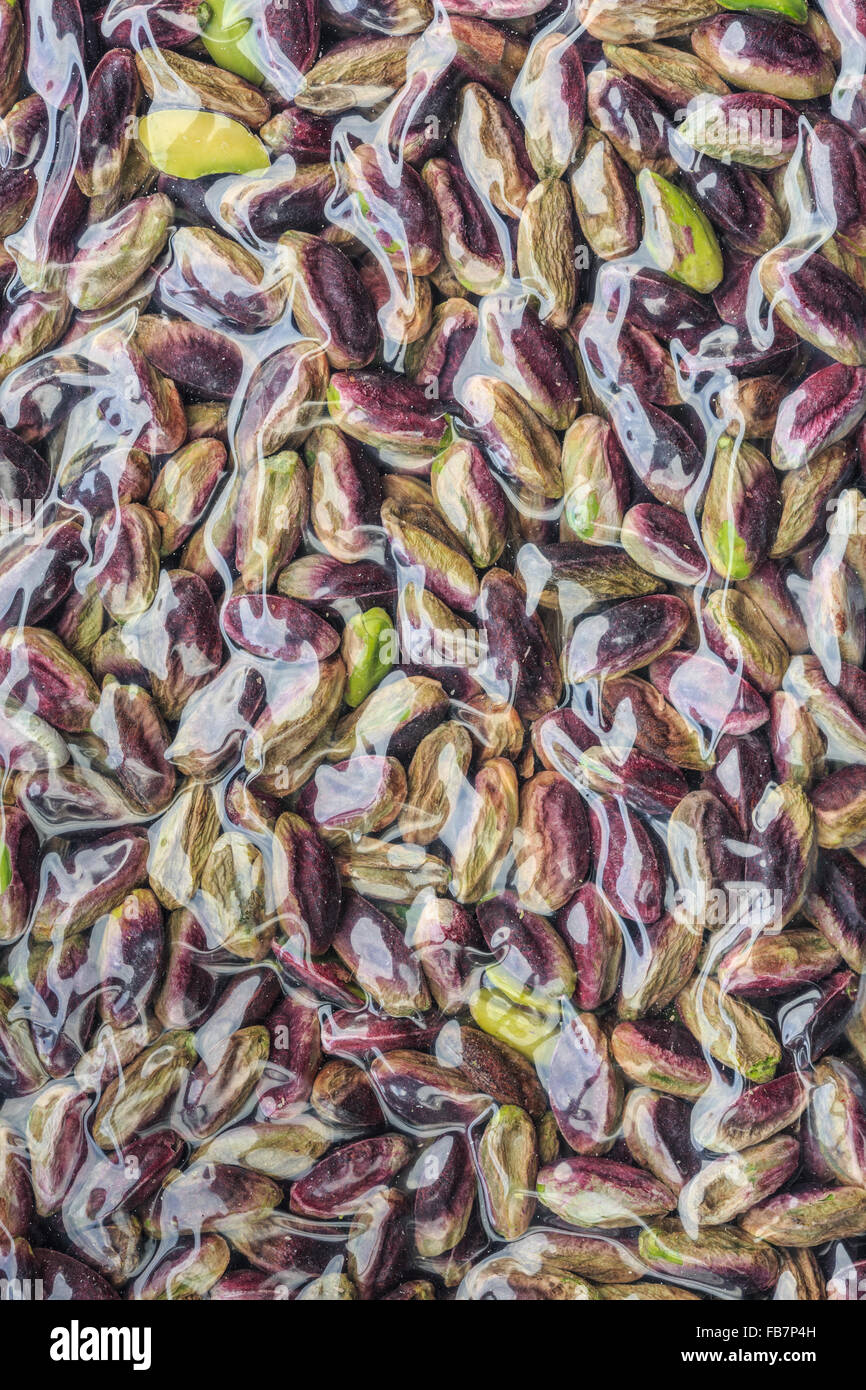Bronte pistachos, envasados al vacío Foto de stock