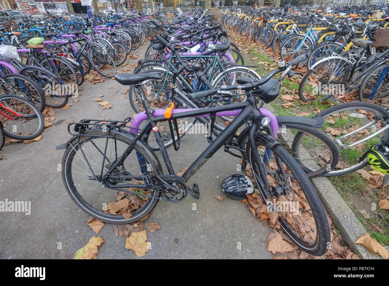 Parking de bicicletas Bike Park, Oxford Foto de stock