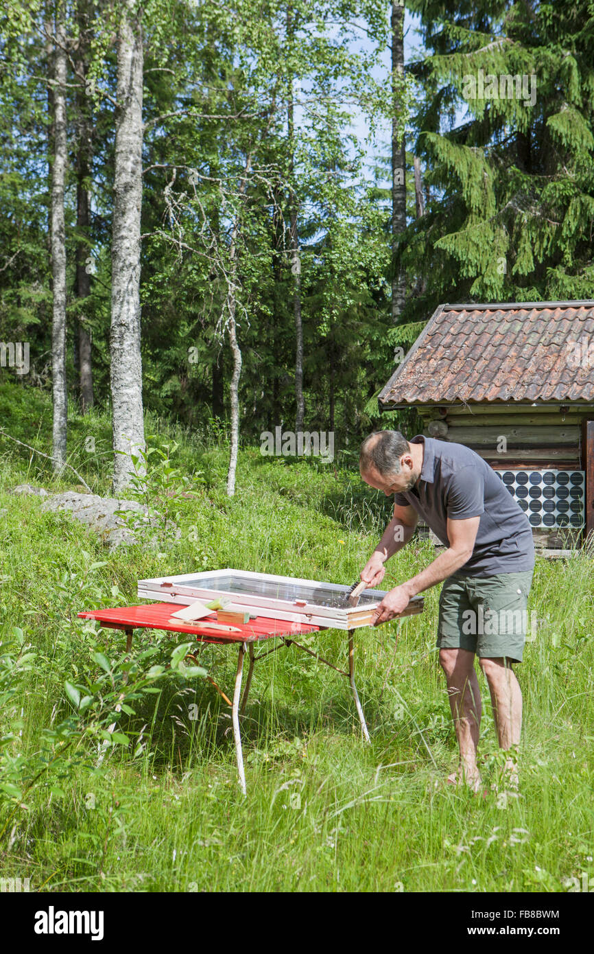 Suecia, Dalarna, Falun, hombre viejo raspar la masilla del marco de ventana Foto de stock