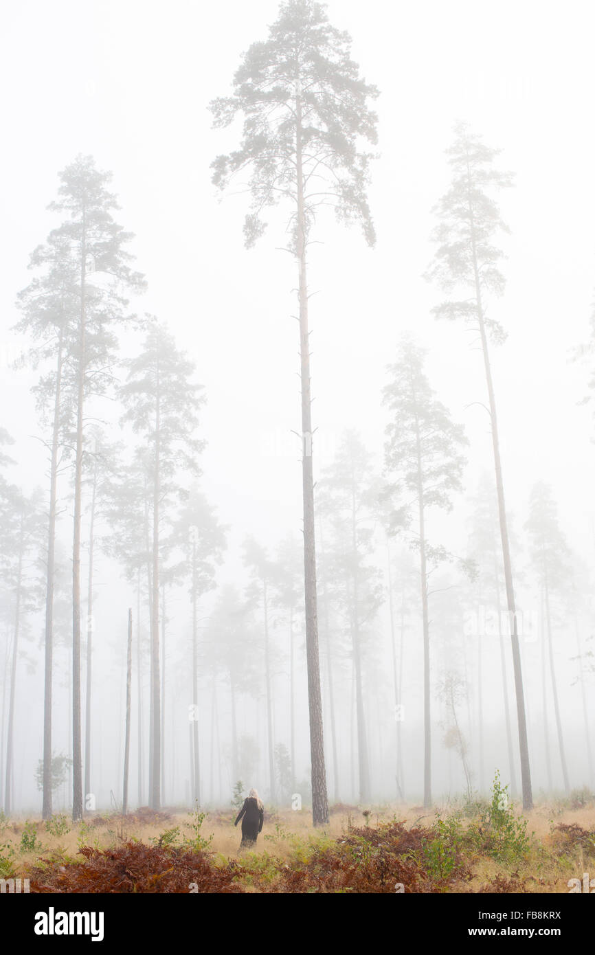Suecia, Ostergotland, Mujer en niebla Foto de stock