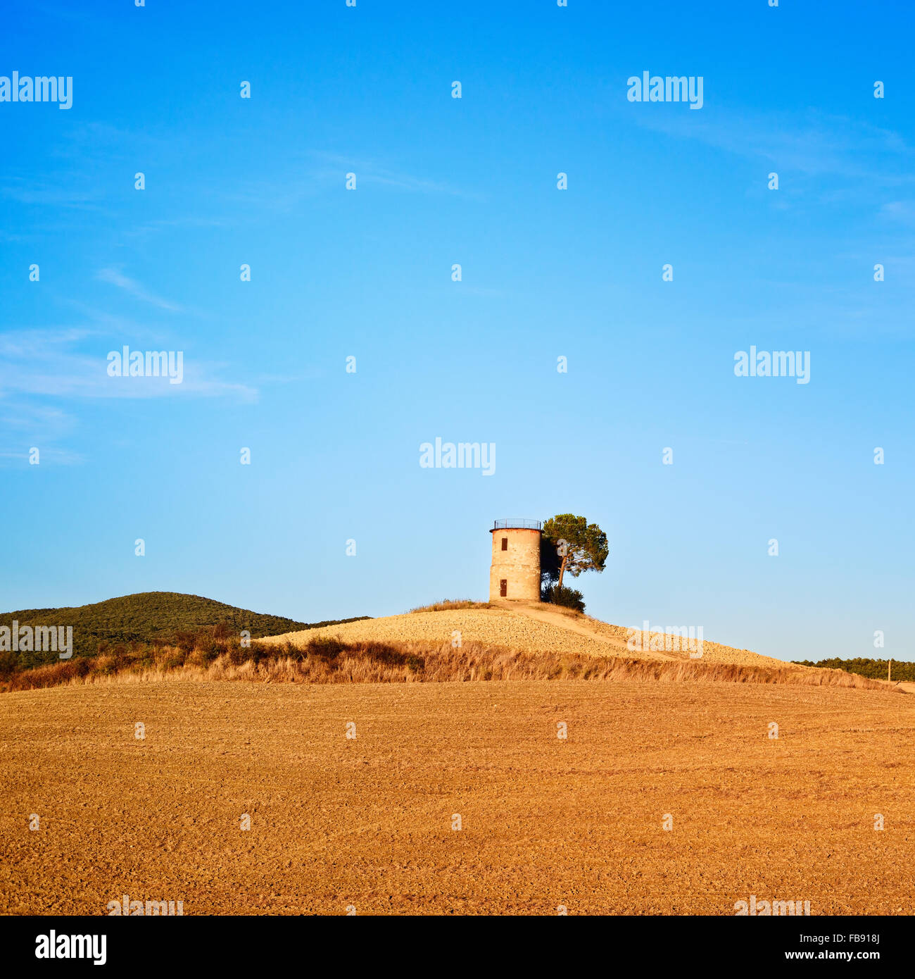 La Maremma toscana, paisaje típico paisaje con sunset hill, árbol y torre rural. Foto de stock