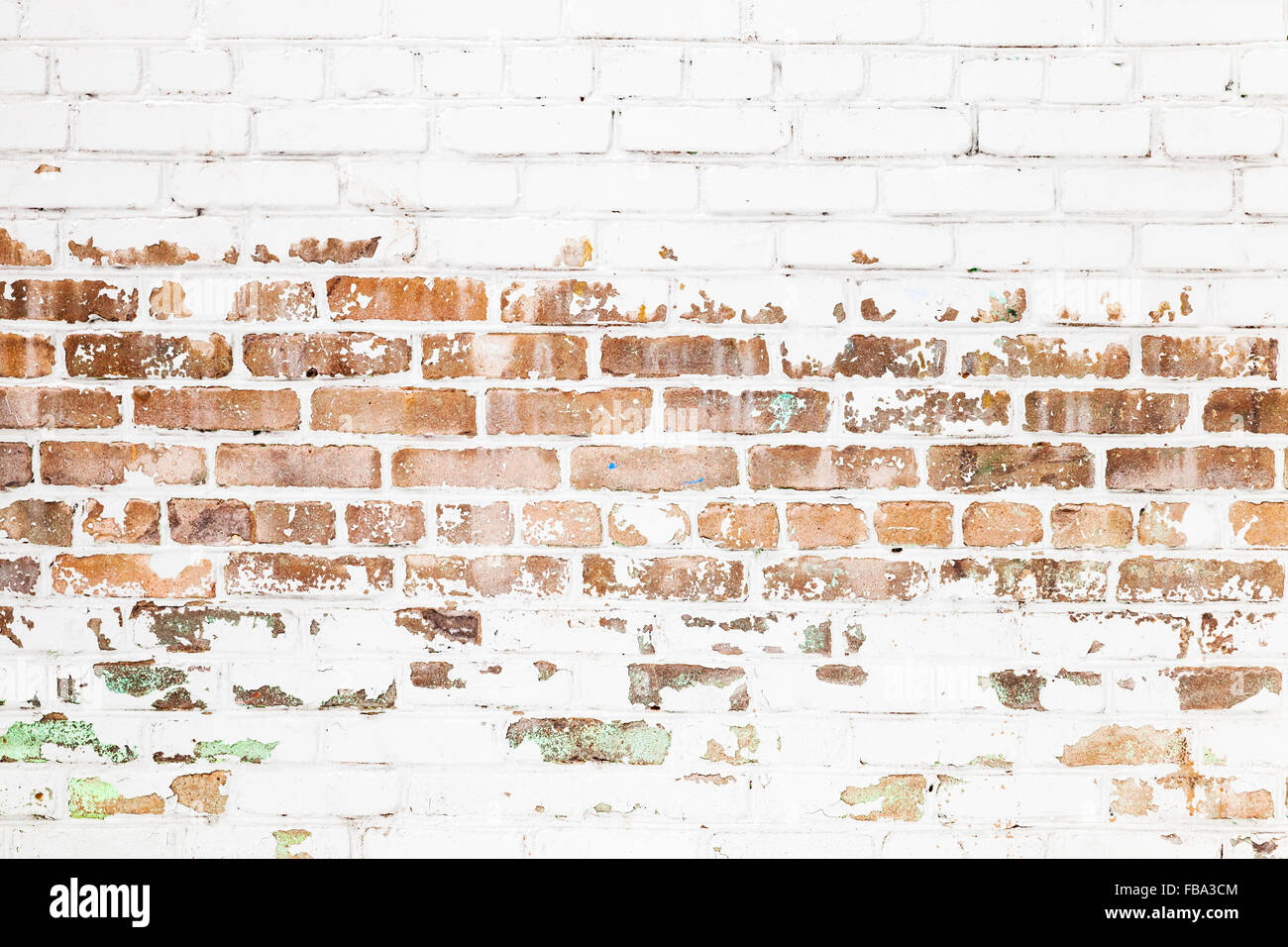 Viejo muro de ladrillo rojo con daños en la capa de pintura blanca, closeup fondo textura fotográfica Foto de stock