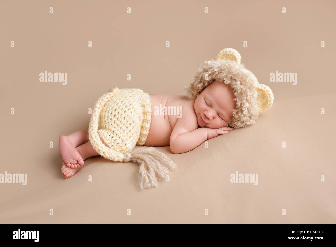 Recién Nacido Bebé Usando Un Disfraz De León Foto de stock y más banco de  imágenes de Bebé - Bebé, León, Recién nacido - 0-1 mes - iStock