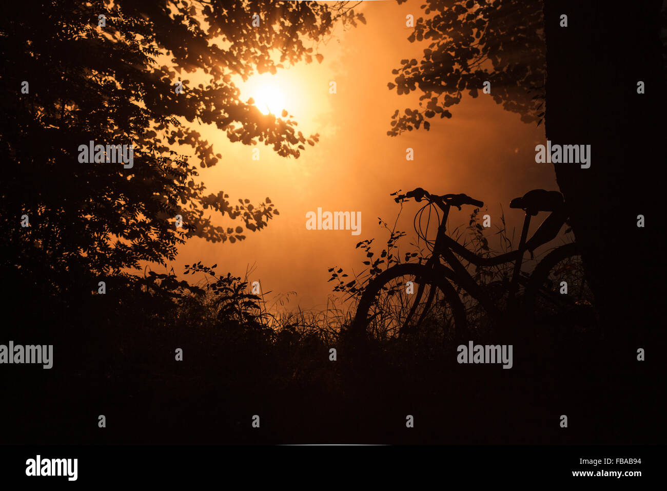 Ir en bicicleta por el lago en frente de la puesta del sol Foto de stock