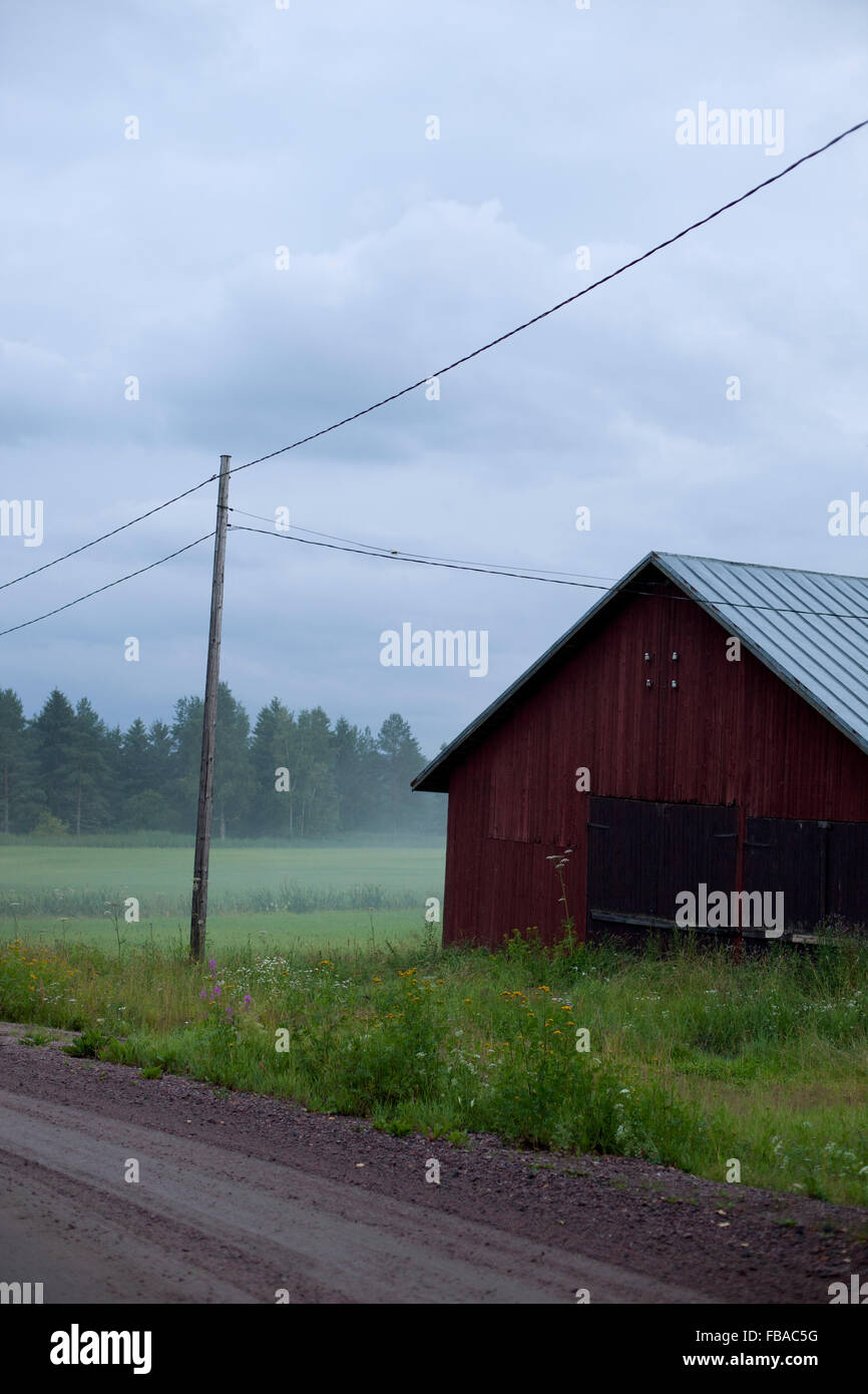 Finlandia, Ita-Uusimaa, Lapinjarvi, granero en Meadow en día brumoso Foto de stock