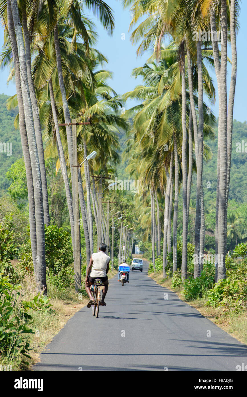 La avenida de palmeras que conduce a la aldea de Parra, cerca de Mapusa, en el norte de Goa, India Foto de stock