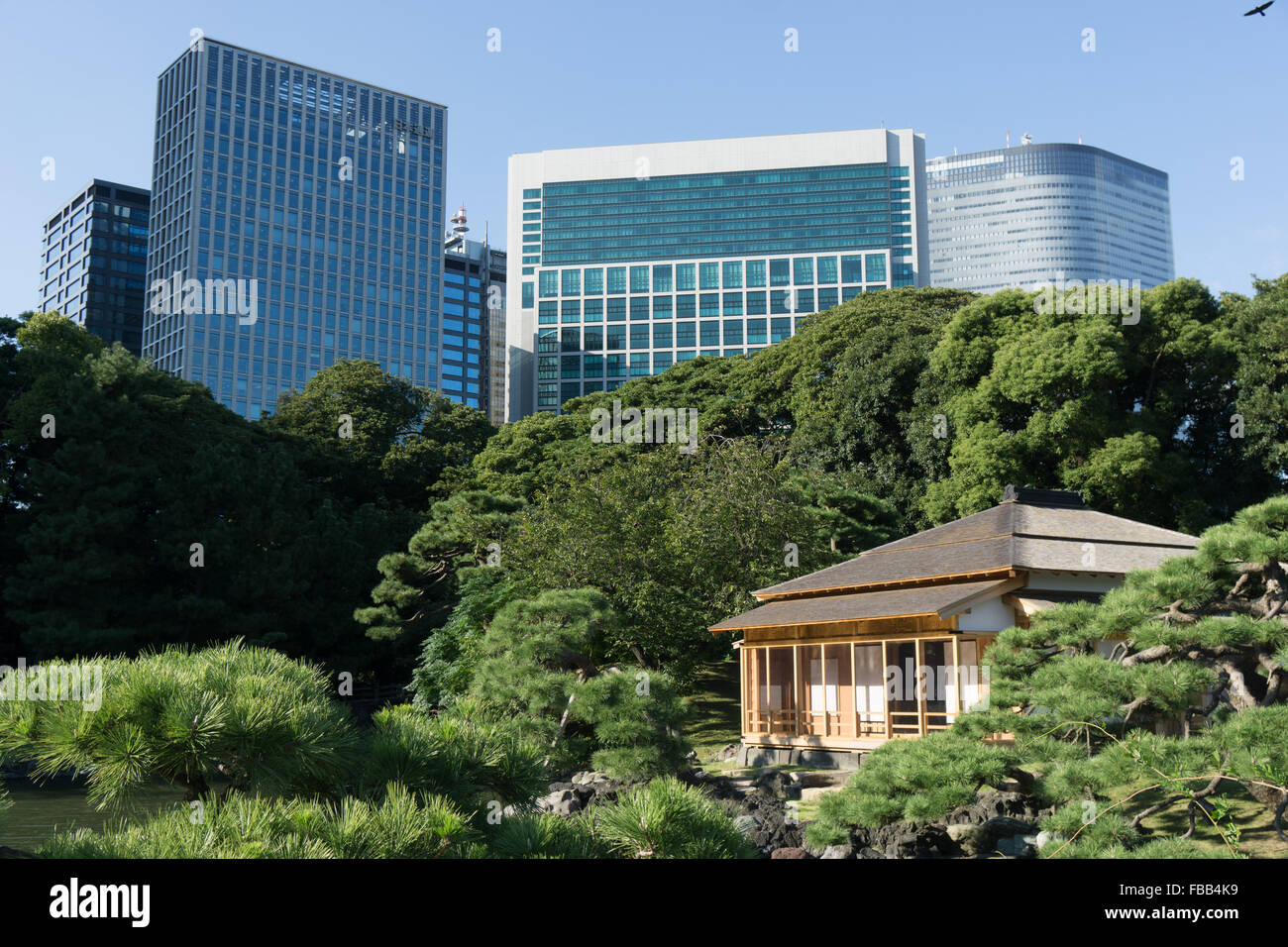 Jardín Hamarikyu y casa de té en Tokio, Japón Foto de stock