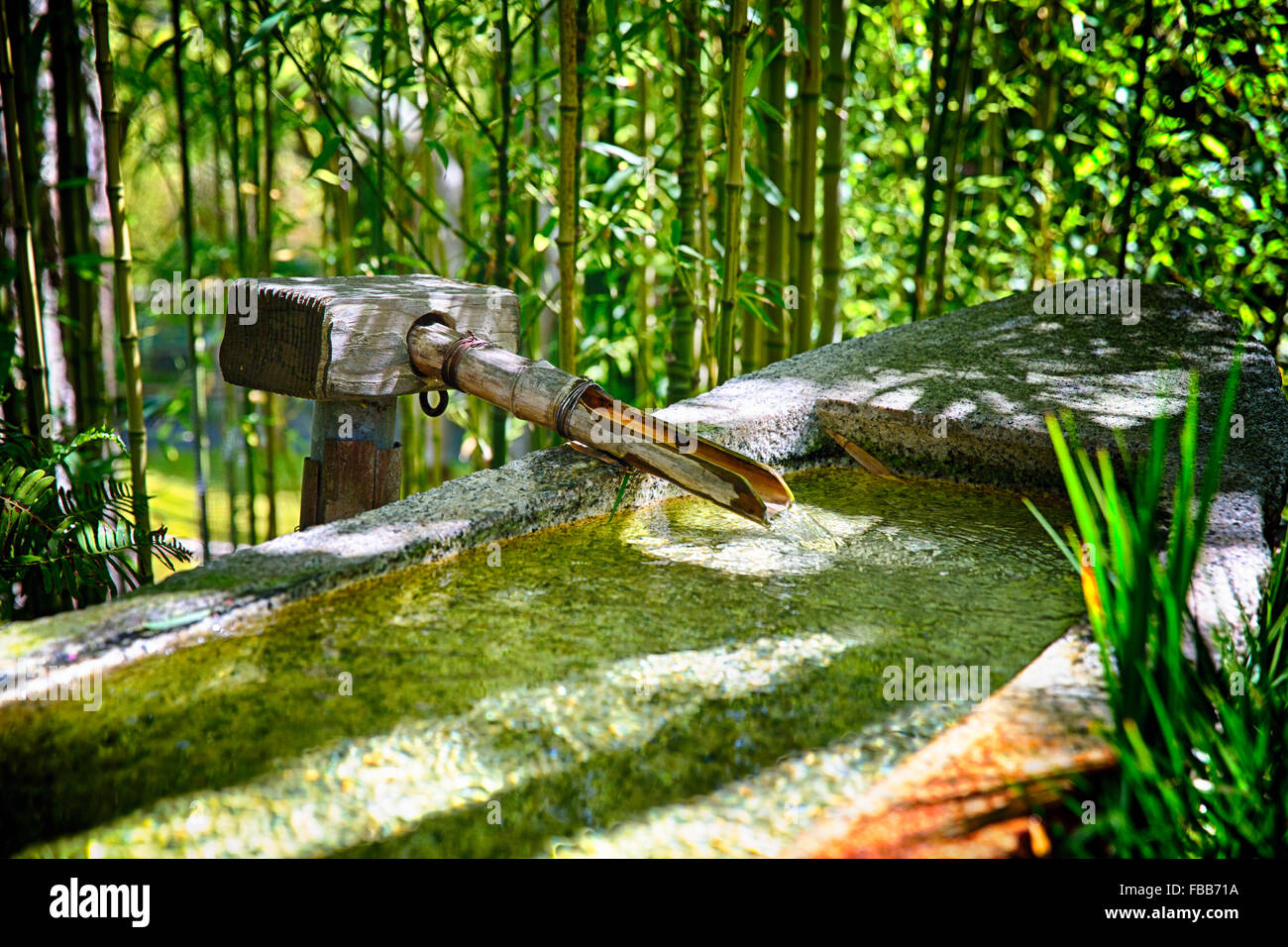 Vista de cerca de una cañería de bambú y encimeras de lavabo con agua pura cristalina fluyendo en un jardín japonés. Foto de stock