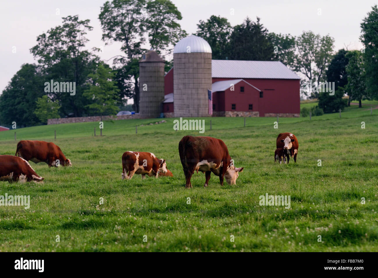 Nueva Jersey Farm Fotos e Imágenes de stock Alamy
