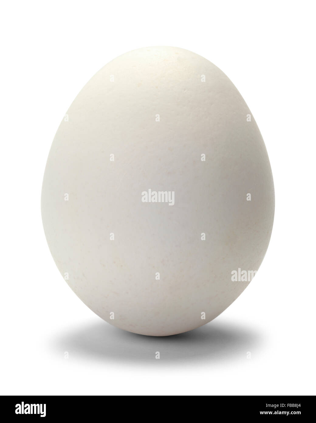 Un huevo de gallina aislado sobre fondo blanco. Foto de stock