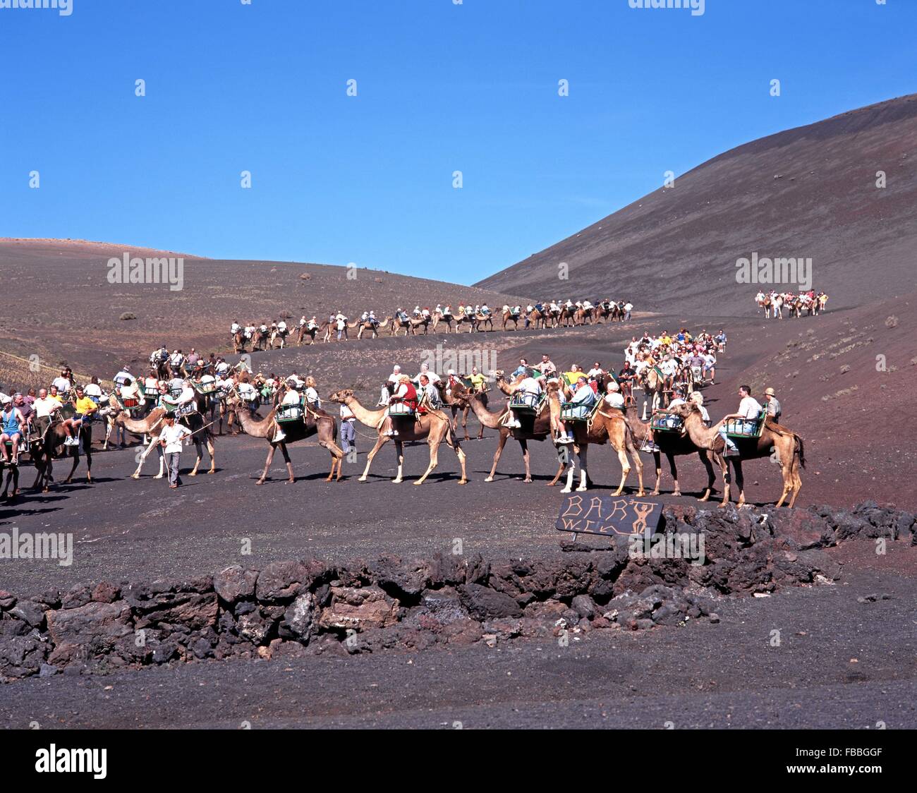Los turistas tomando un paseo en camello a través del Parque Nacional de Timanfaya, Lanzarote, Islas Canarias, España. Foto de stock