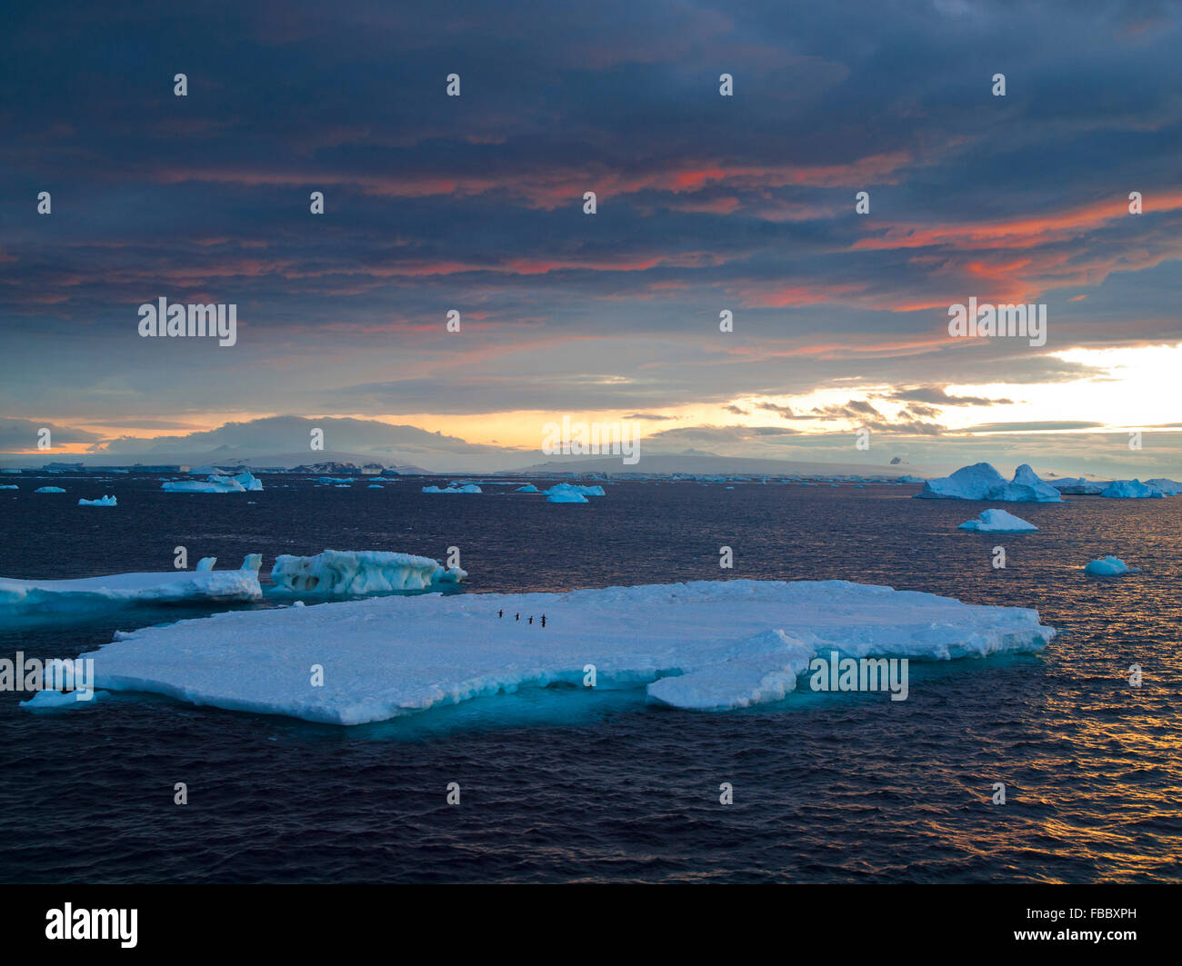 Iceberg sunrise, Península Antártica. Foto de stock