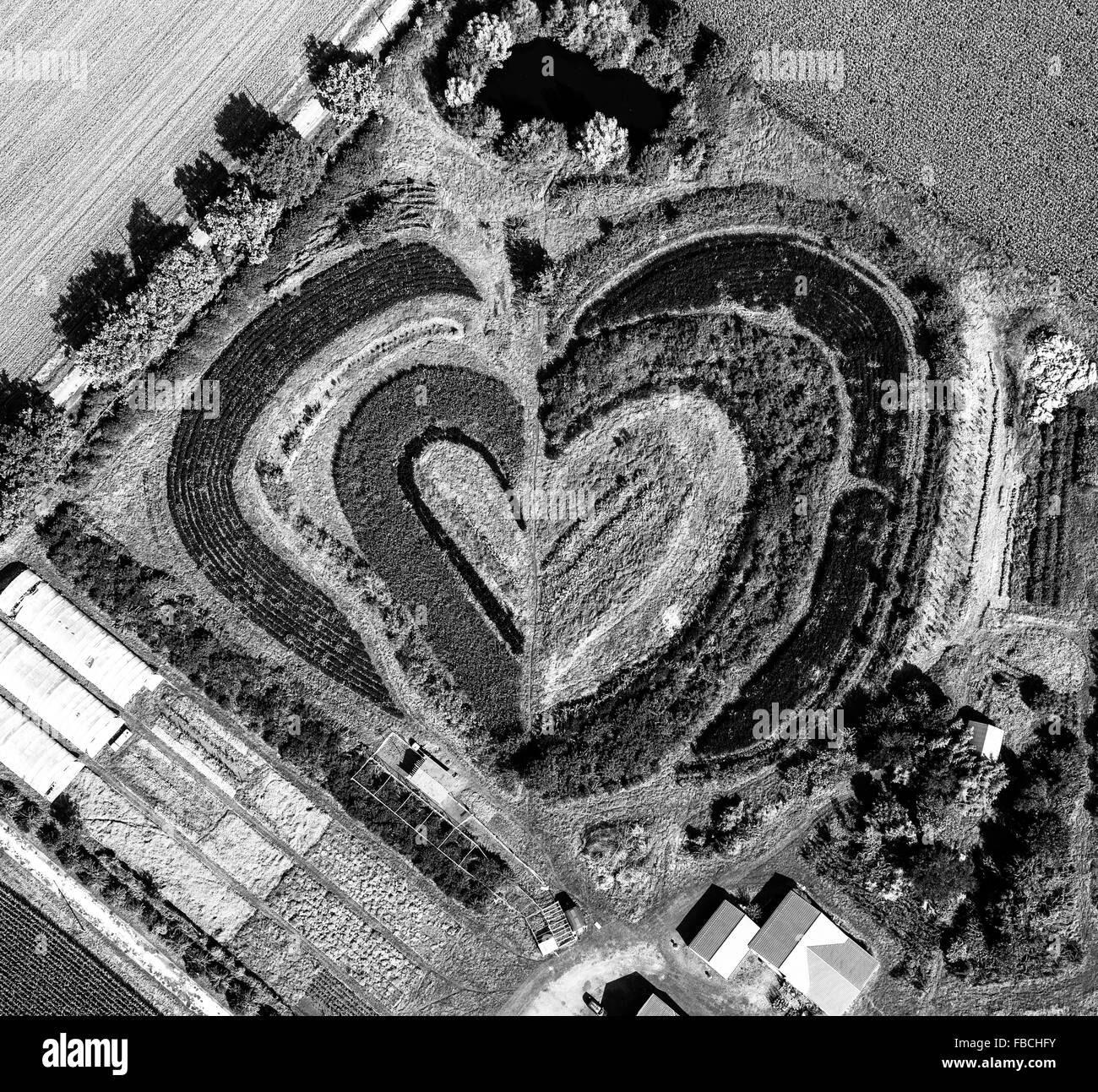 Antena, horticultura Waltrop, con forma de corazón, camas con forma de corazón, corazón, hortícolas, de granja, Waltrop, área de Ruhr, Foto de stock