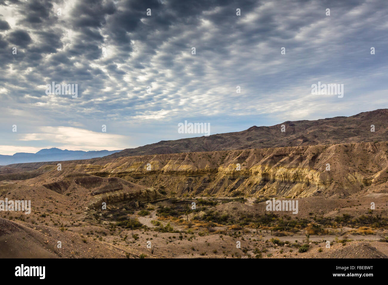 El cañón junto a Glenn Springs Road en la soledad del desierto del Parque Nacional de Big Bend, EEUU. Foto de stock