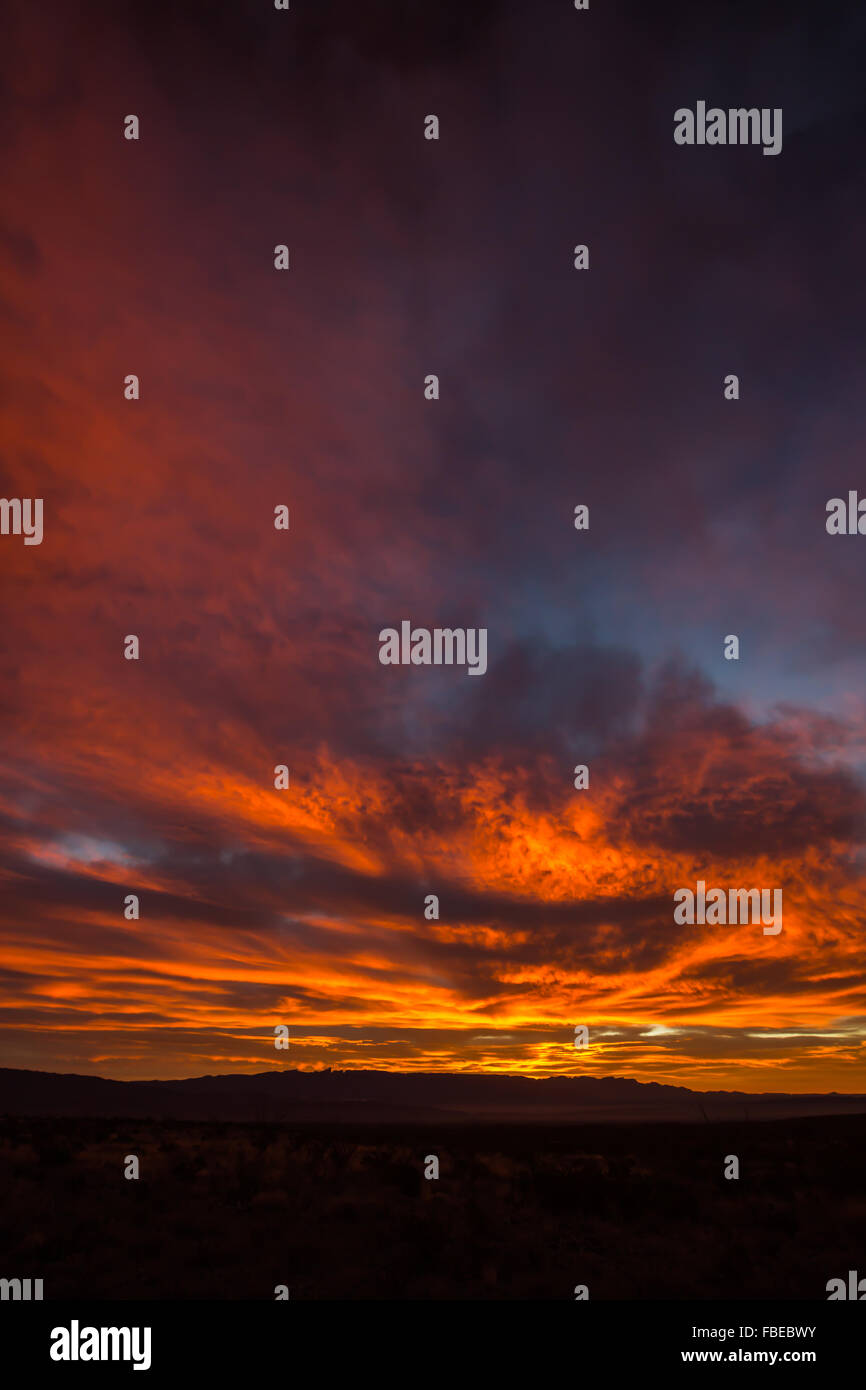 Un espectacular amanecer visto junto a Glenn Springs Road en el desierto del Parque Nacional de Big Bend, Texas, EE.UU. Foto de stock