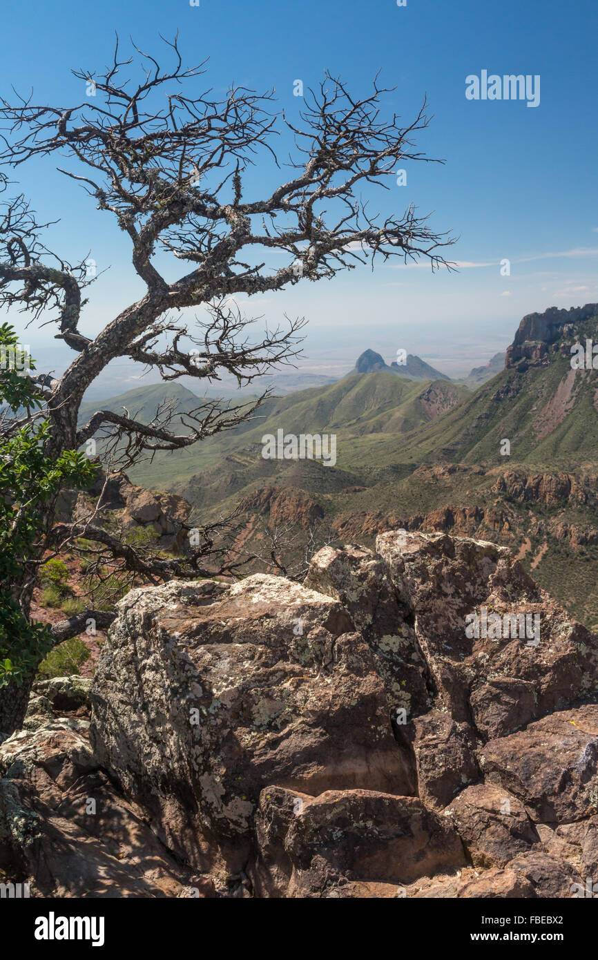 La hermosa vista desde la mina perdida senderos en el Parque Nacional de Big Bend, EE.UU. Foto de stock