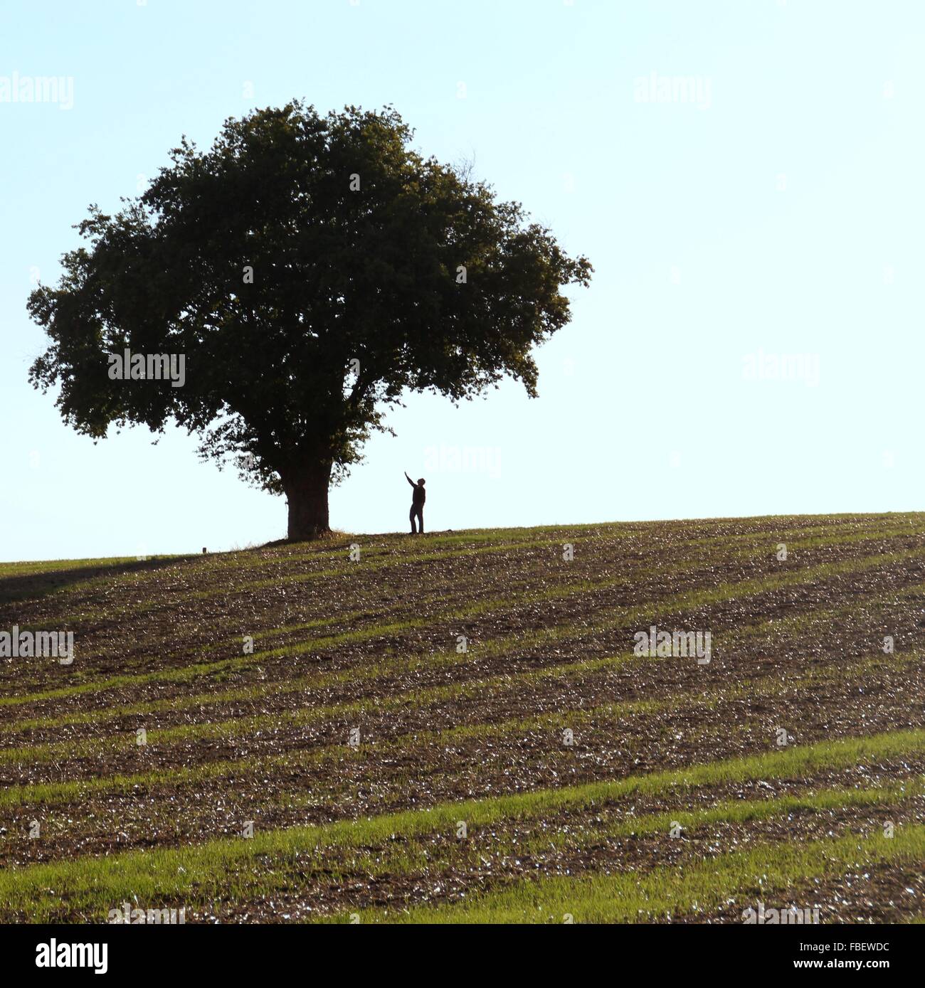Hombre de pie debajo de árbol en el campo contra el cielo Foto de stock