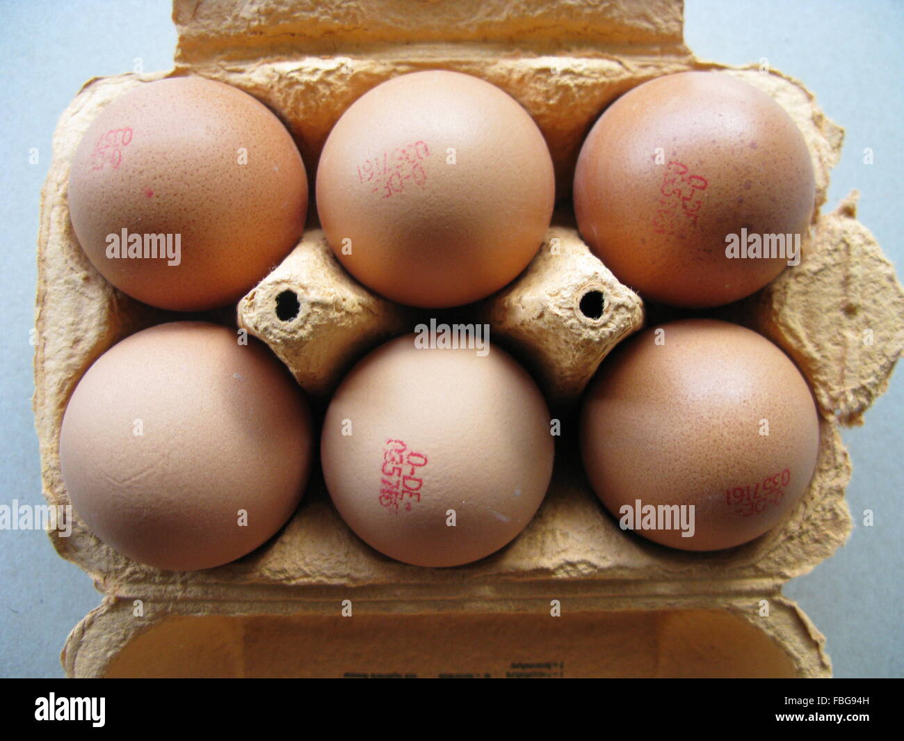 Huevos biológicos en una caja Foto de stock