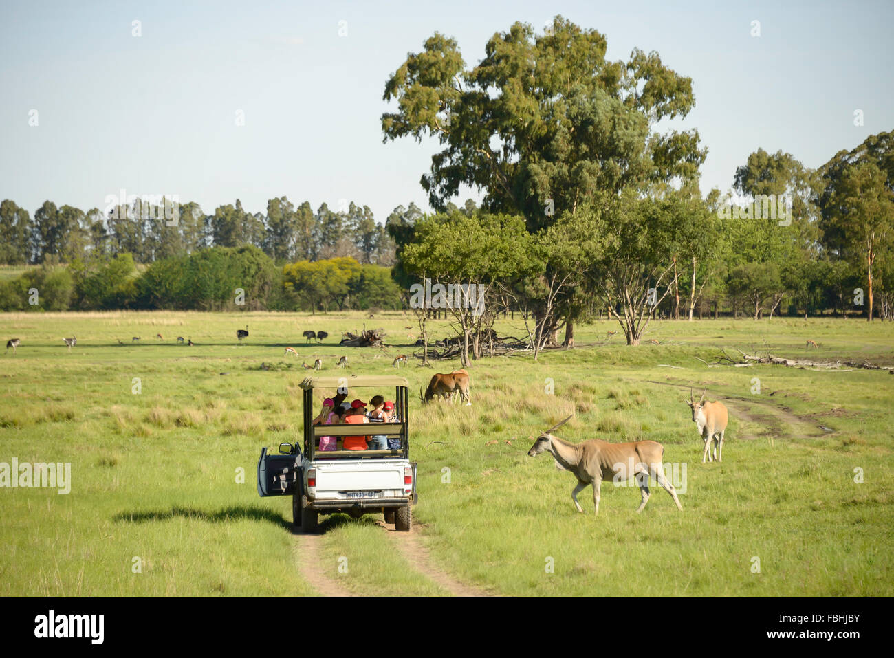 Juego de Mundo Animal Park, Esmeralda Resort & Casino, Municipio Emfuleni Vanderbijlpark, Gauteng, República de Sudáfrica. Foto de stock