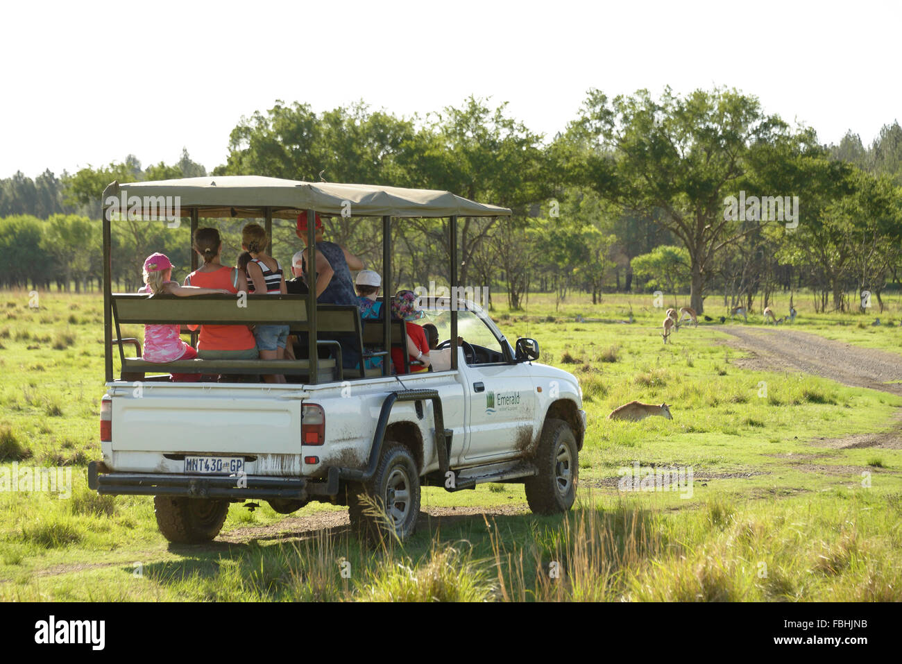 Jeep Safari, Juego de Mundo Animal Park, Esmeralda Resort & Casino, Municipio Emfuleni Vanderbijlpark, Gauteng, Sudáfrica Foto de stock