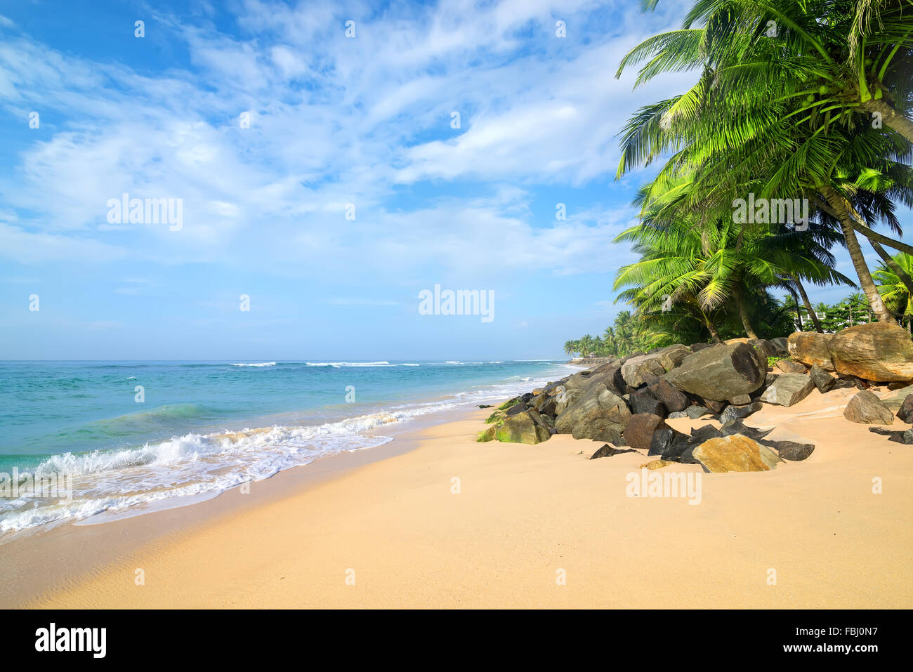 Piedras y palmeras en una playa arenosa de Gala en Sri Lanka Foto de stock