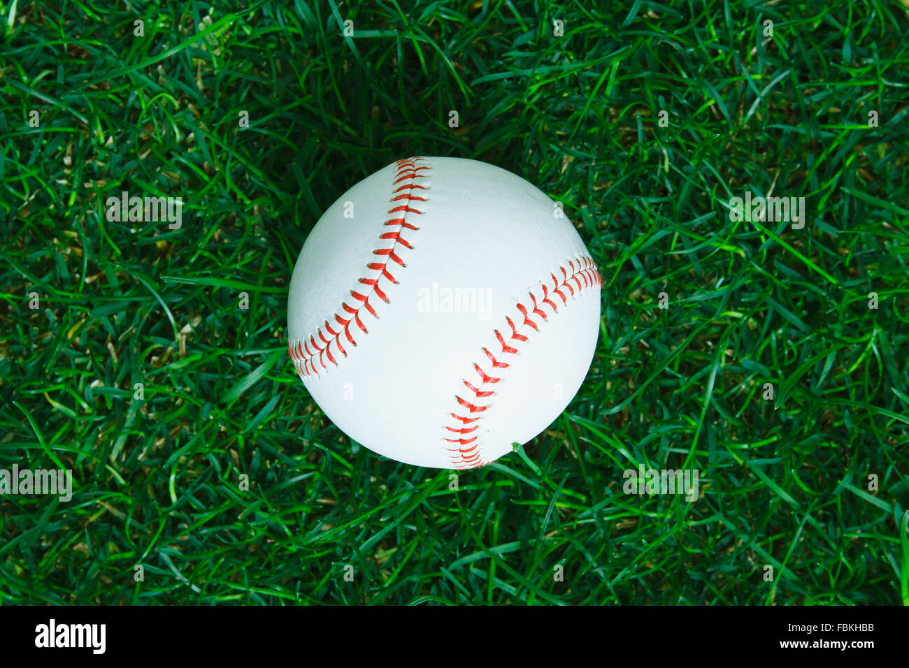 Bola de béisbol sobre el césped Foto de stock