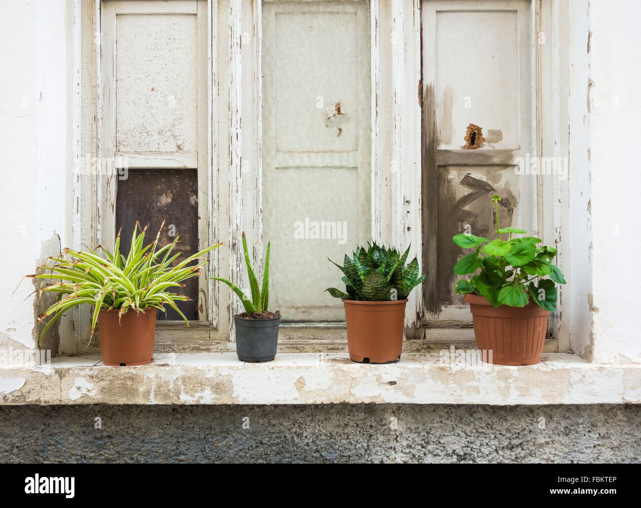 Las plantas sobre el alféizar de la ventana fuera de casa antigua en España Foto de stock