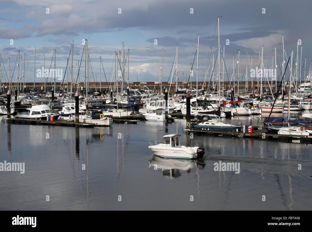 La marina en Bangor, Co Down, Irlanda del Norte. Foto de stock