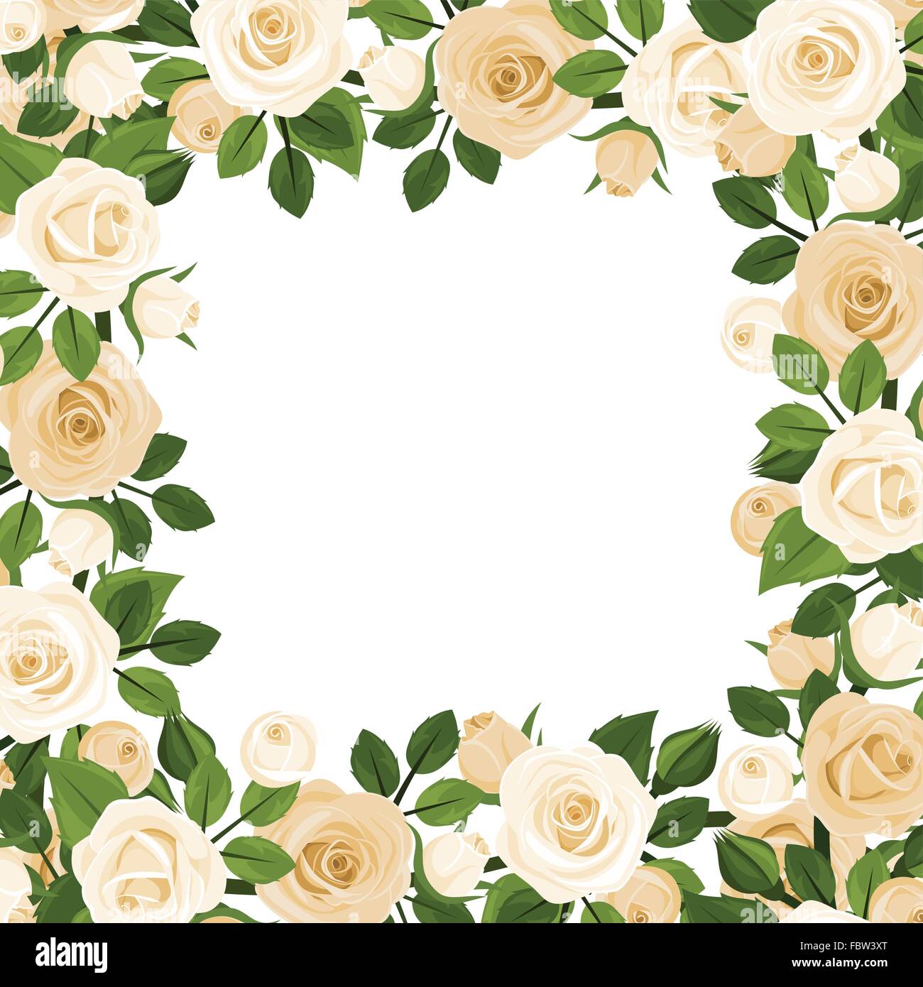 Antecedentes vectoriales con rosas blancas. Ilustración del Vector