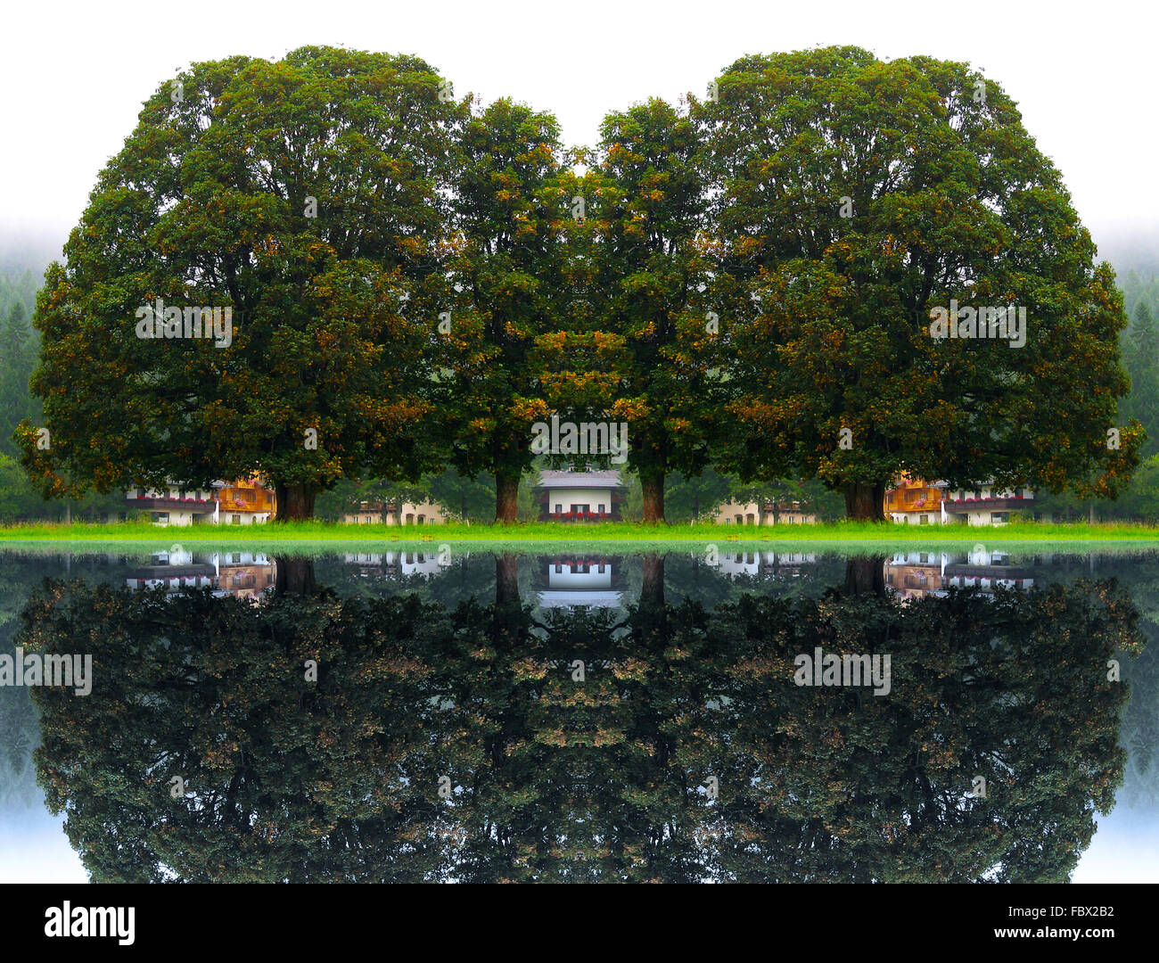 Paisaje con grandes árboles reflejados múltiples Foto de stock