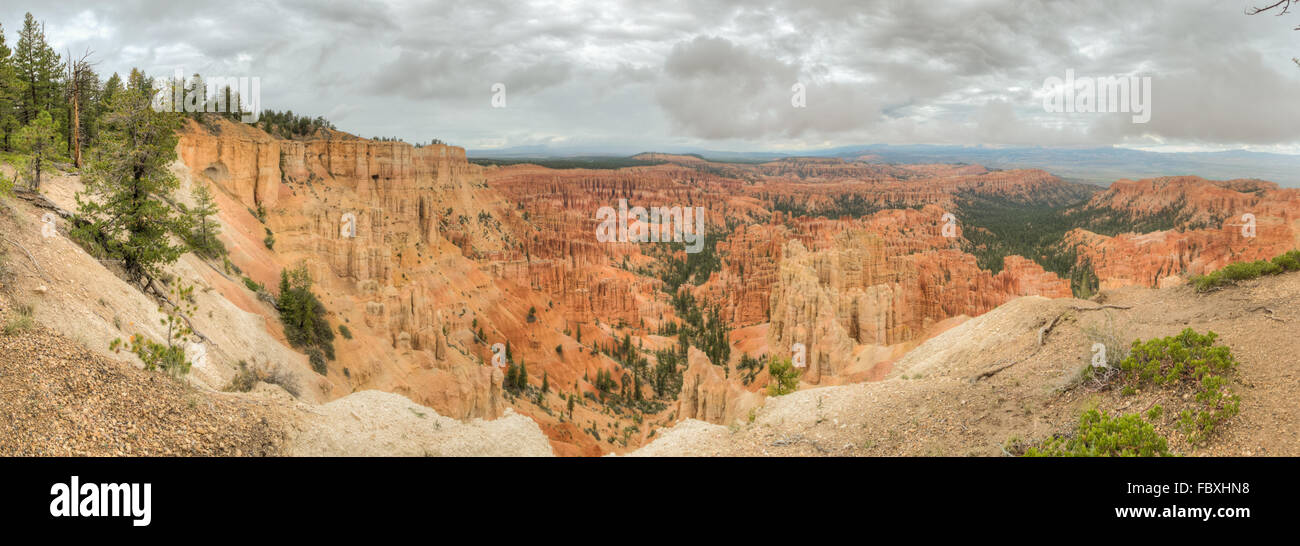 Panorama del anfiteatro de Bryce Canyon Foto de stock