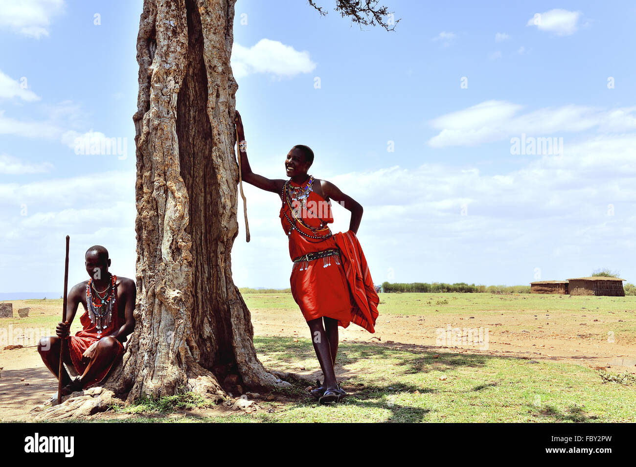 Massai en la sombra de una acacia Foto de stock