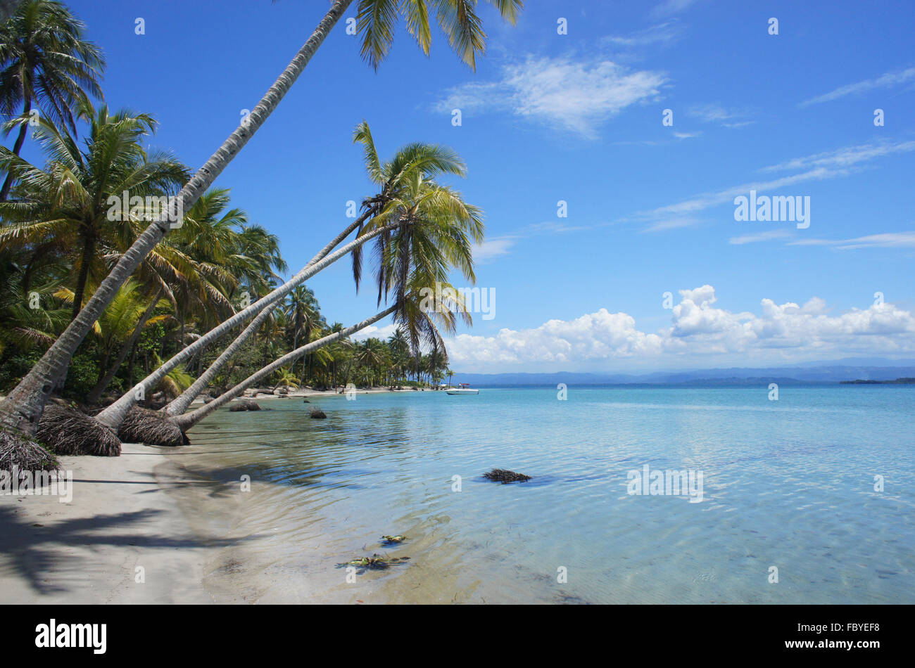 Playa Caribeña perfecta Foto de stock