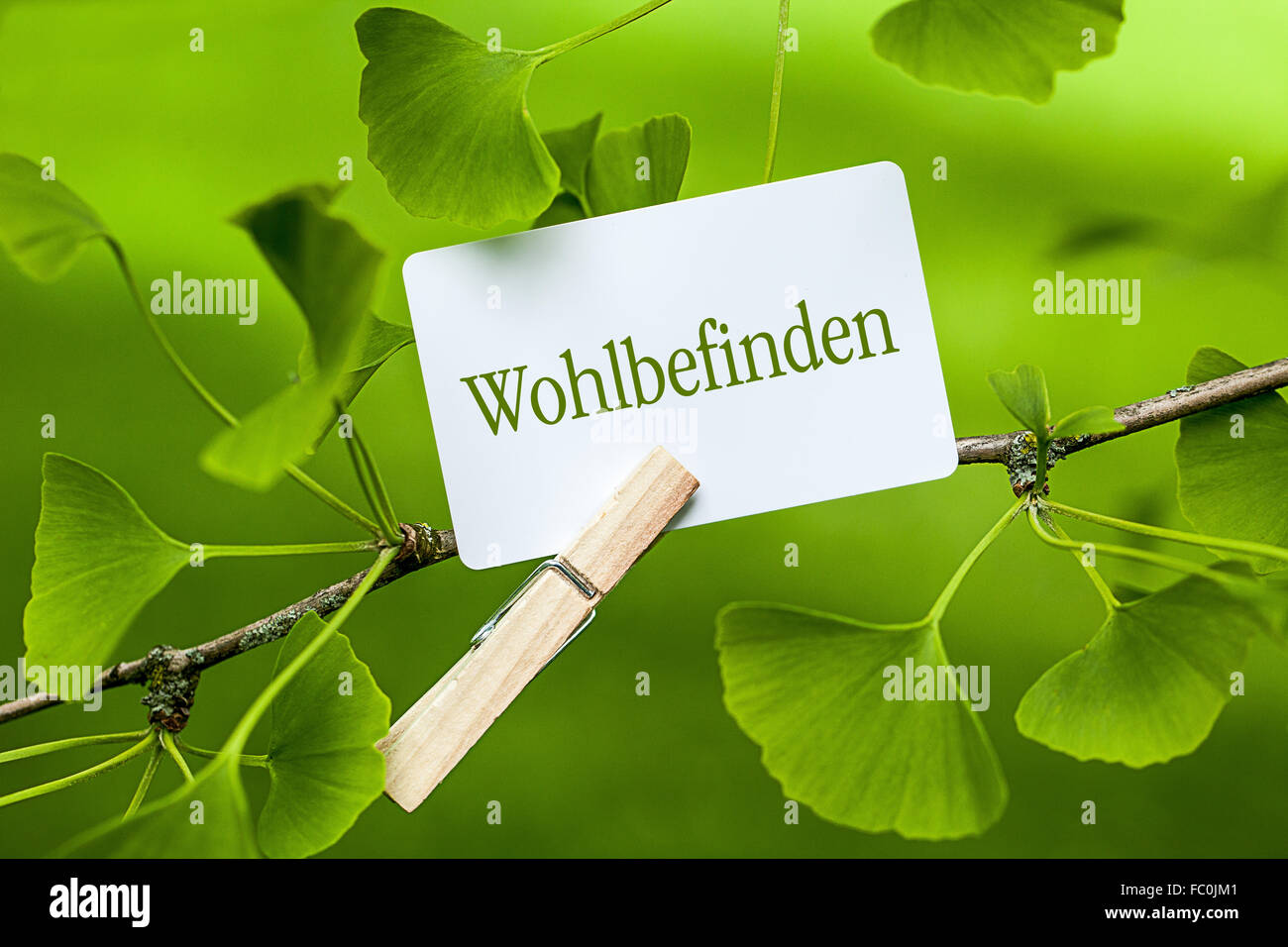 La palabra "Wohlbefinden" en un árbol de ginkgo Foto de stock