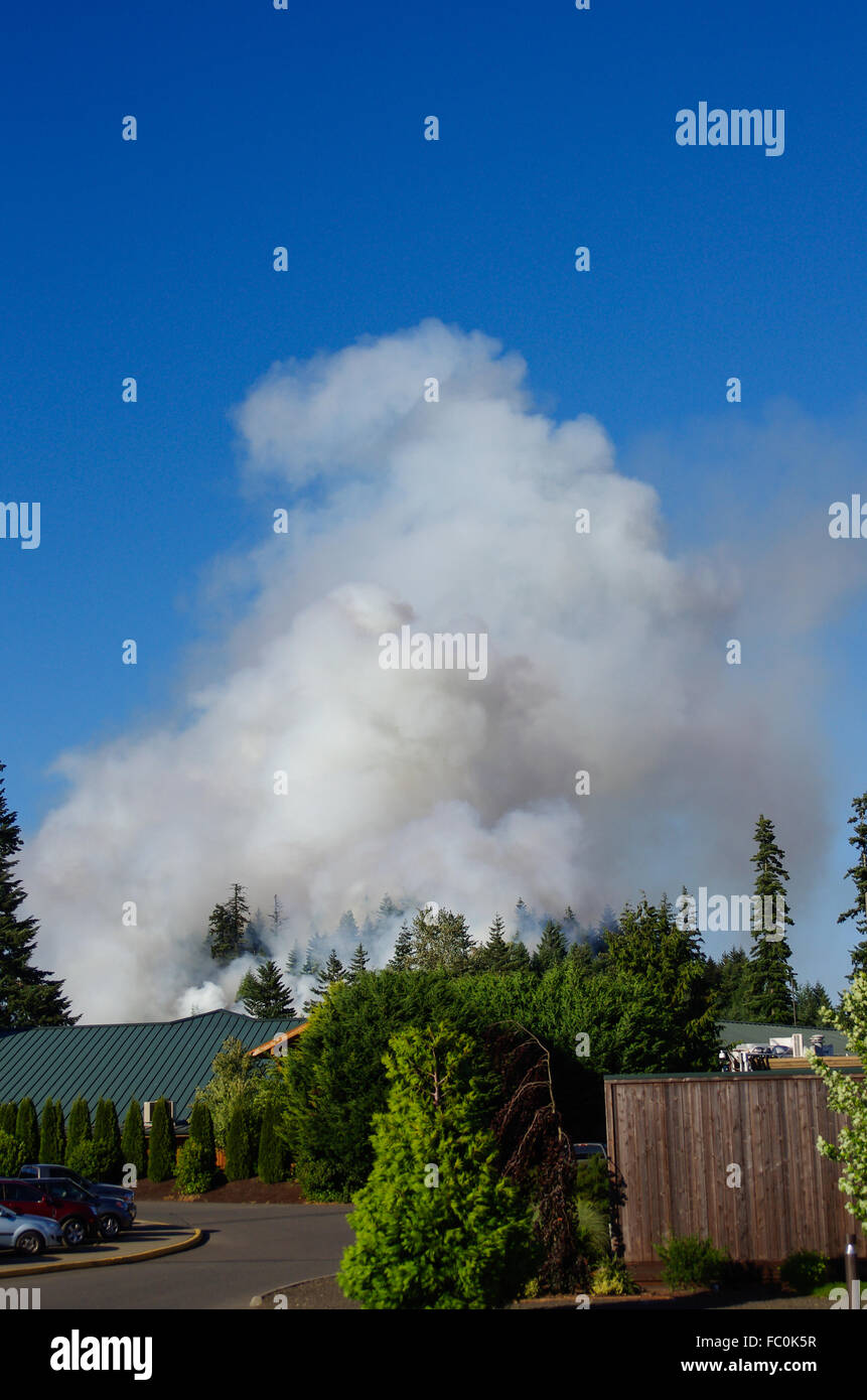 Estalla el humo de una quema rápidamente el fuego salvaje cerca del Little Creek Casino. Shelton, Washington, EE.UU. Foto de stock