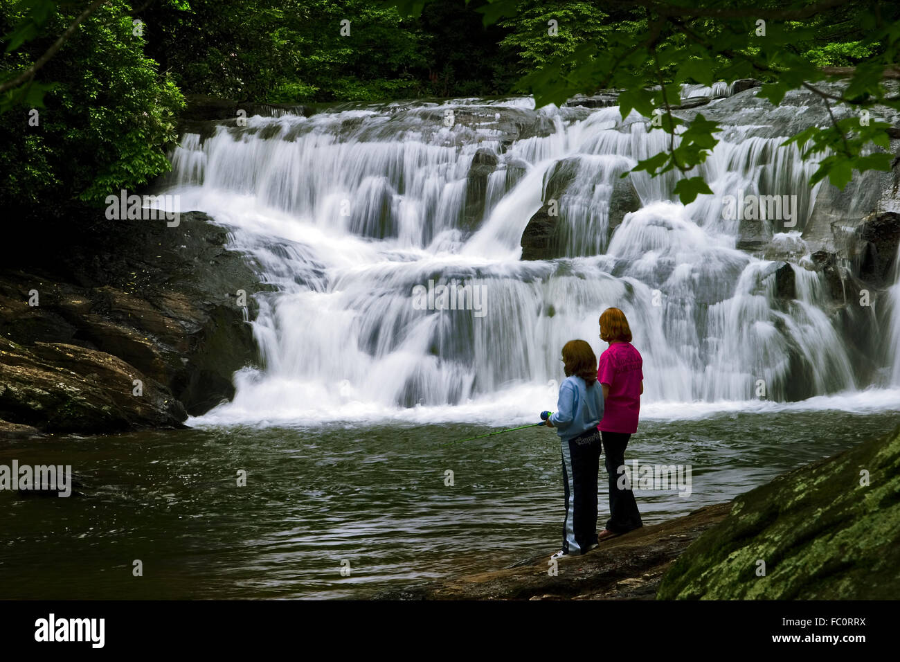 Las niñas trucha en pollas Creek, en el Bosque Nacional Chattahoochee, Georgia, EE.UU.. Foto de stock