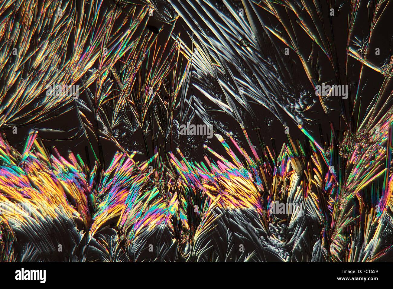 La cumarina cristales bajo el microscopio. Foto de stock