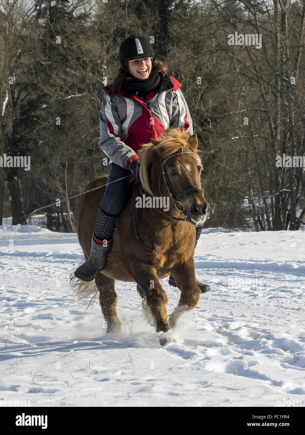 Diversión de invierno a caballo Foto de stock