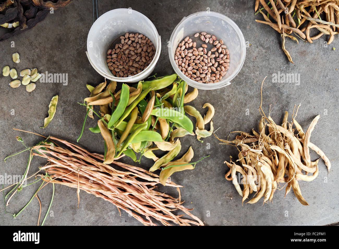 Colección de diferentes granos secos Fotografía de stock - Alamy