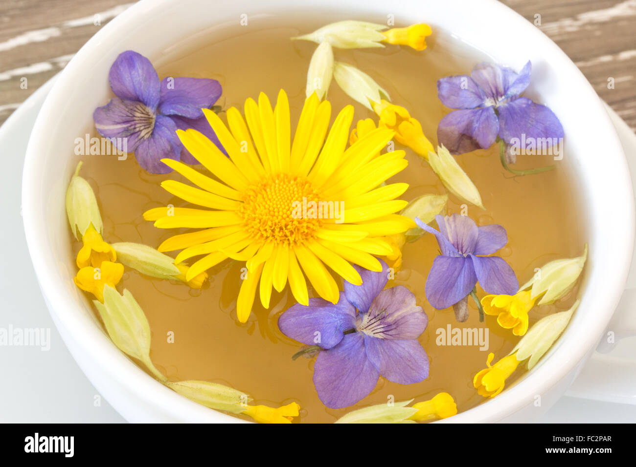 Tos té con violetas coltsfoot cowslip Foto de stock