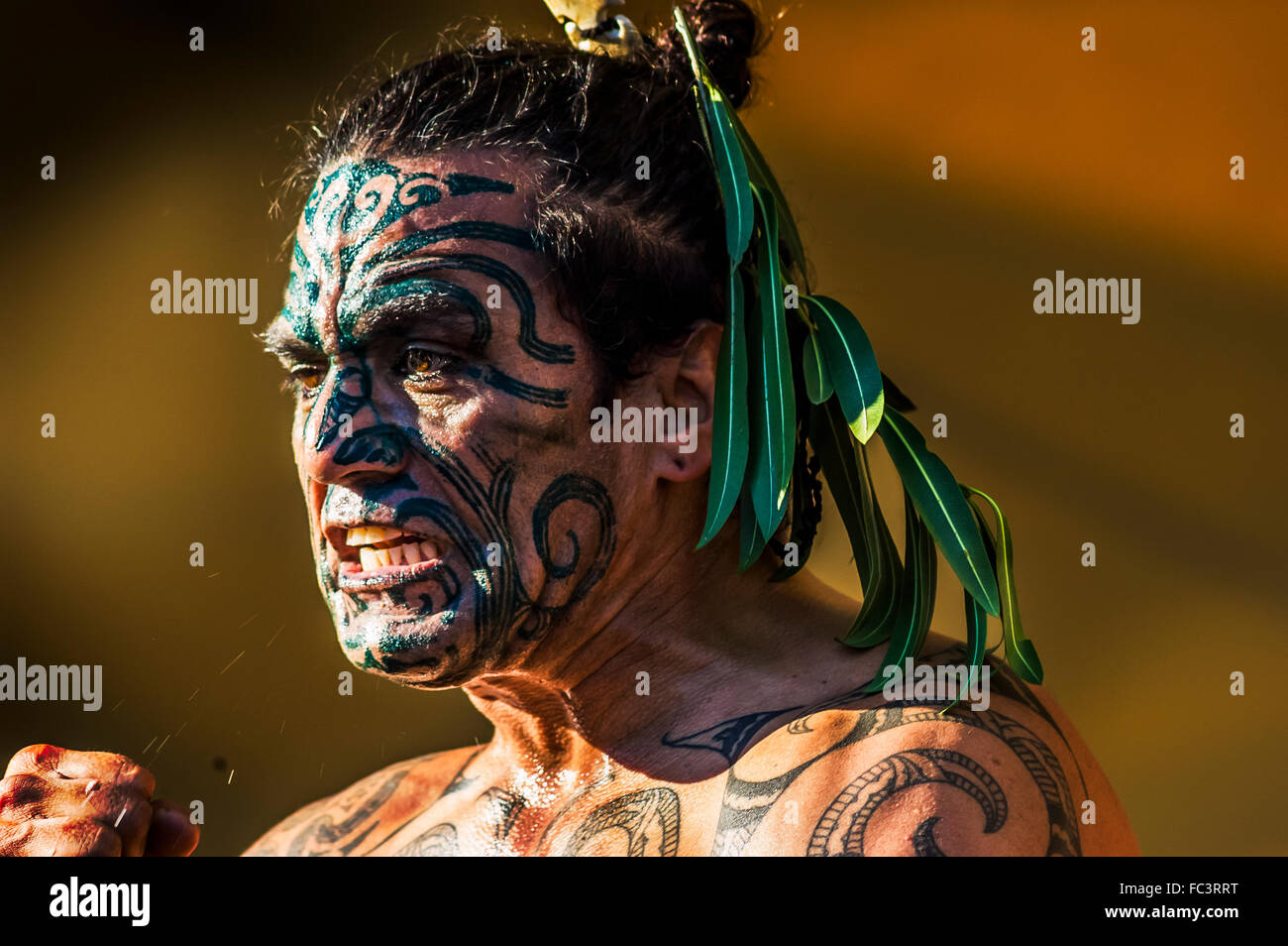 cerca-de-un-macho-feroz-la-cara-pintada-con-pintura-de-guerra-haciendo-el-ejecutante-maori-haka-danza-de-guerra-en-el-festival-de-melbourne-australia-fc3rrt.jpg