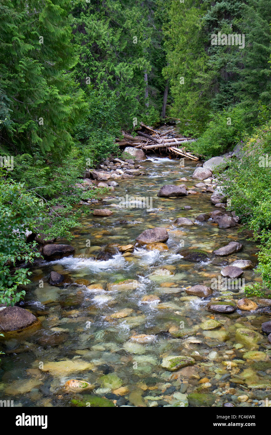 Flujo de agua dulce en el norte de las Montañas Cascade, en Washington, EE.UU.. Foto de stock