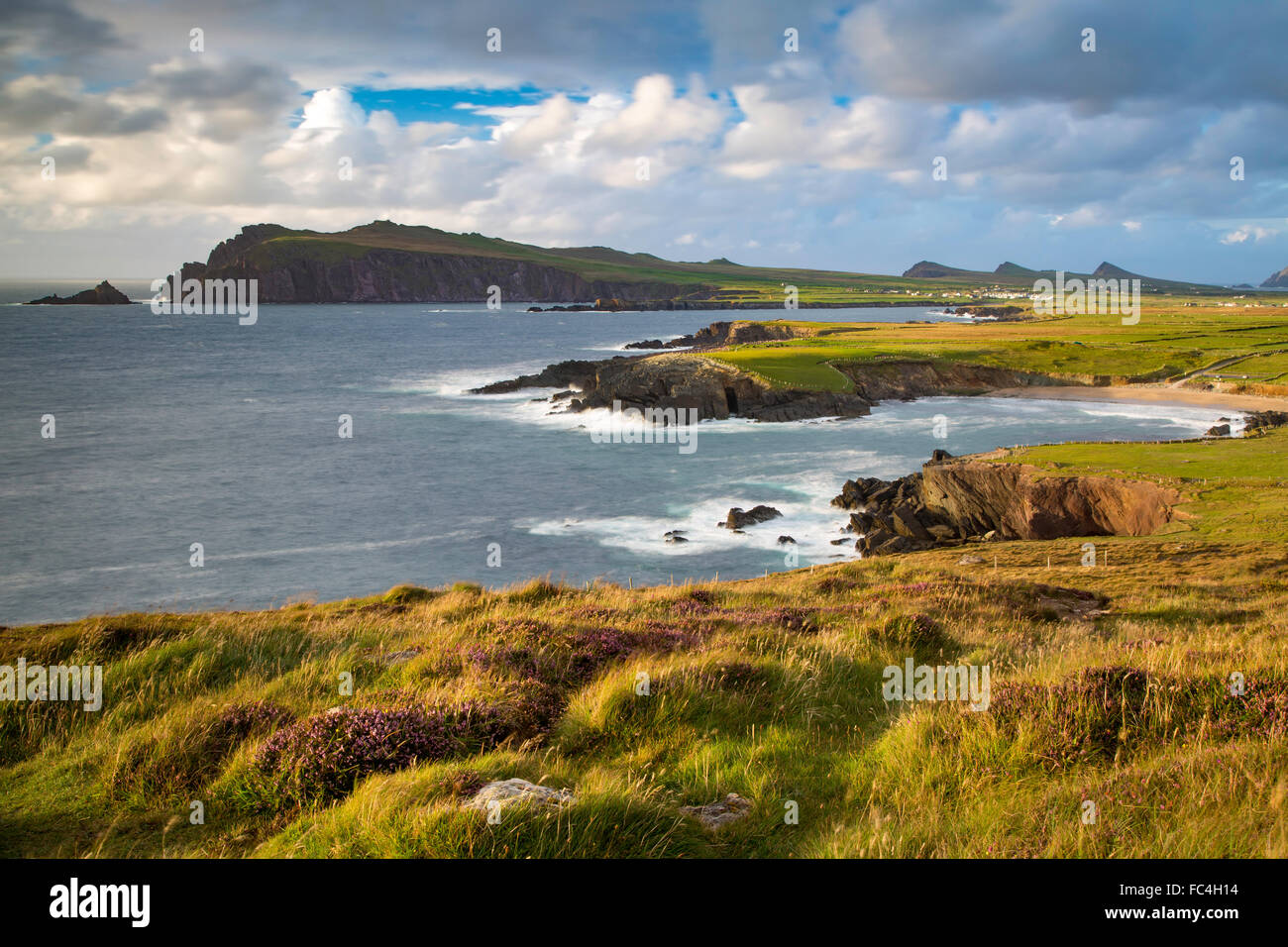 Por la noche la luz del sol sobre la bahía de Ballyferriter, Sybil Punto y las cimas de las Tres Hermanas, la península Dingle, Condado de Kerry, Irlanda Foto de stock