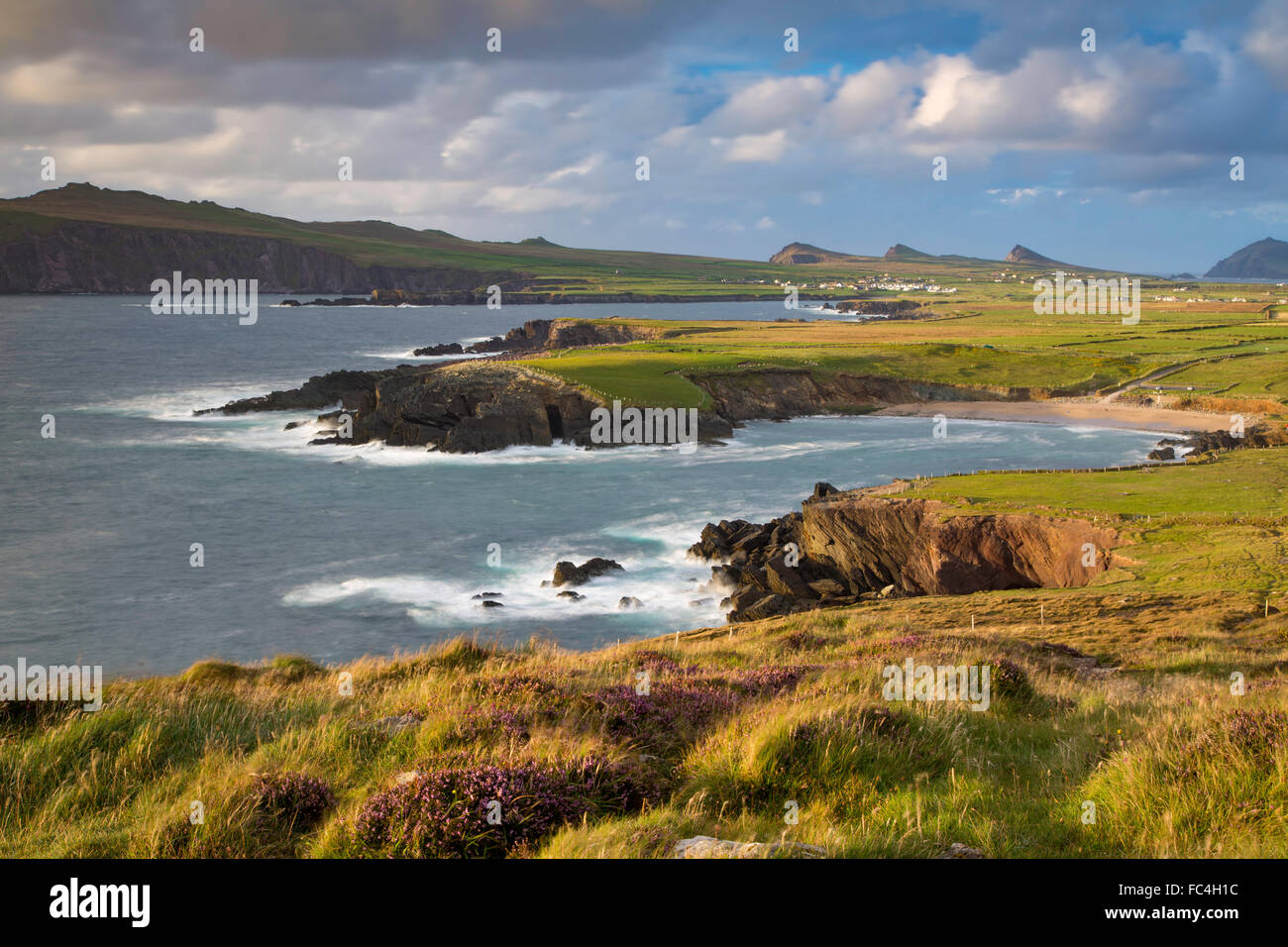 Por la noche la luz del sol sobre la bahía de Ballyferriter, Sybil Punto y las cimas de las Tres Hermanas, la península Dingle, Condado de Kerry, Irlanda Foto de stock