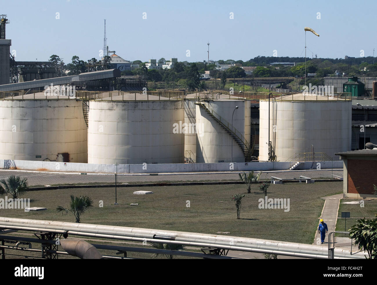 Los tanques de almacenamiento del aceite de soja - industria en cooperativa Foto de stock
