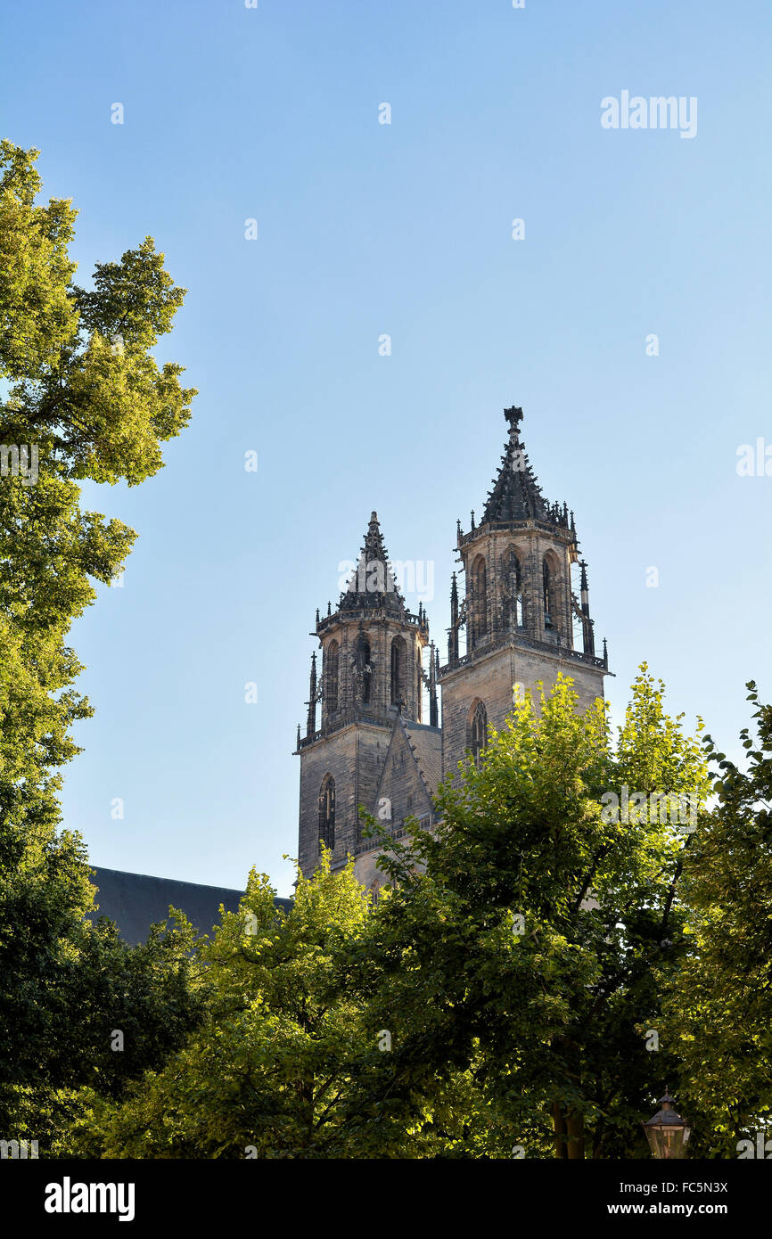 La Catedral de Magdeburgo Foto de stock