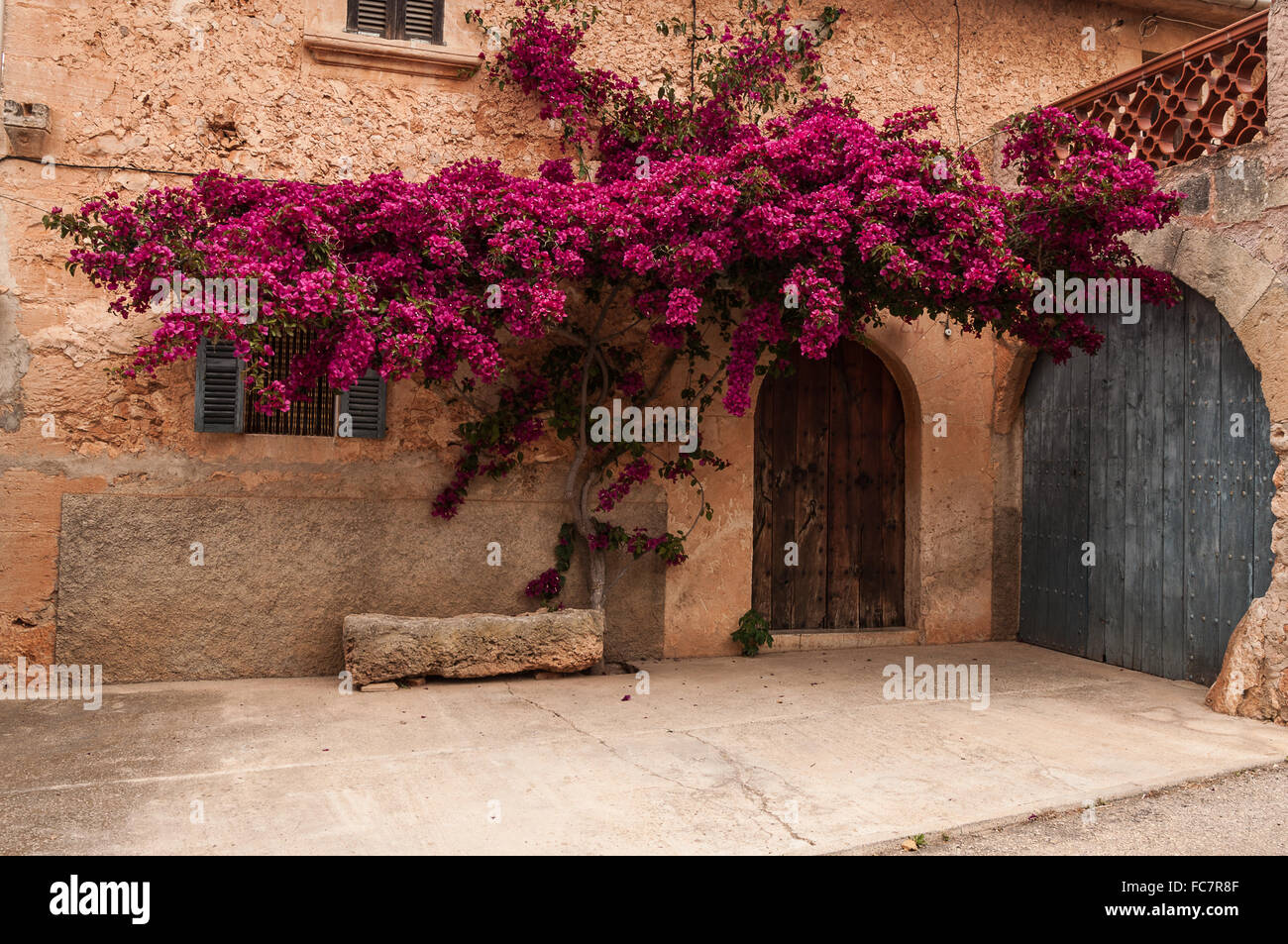 Fachada de la casa con flores de buganvilla fotografías e imágenes de alta  resolución - Alamy