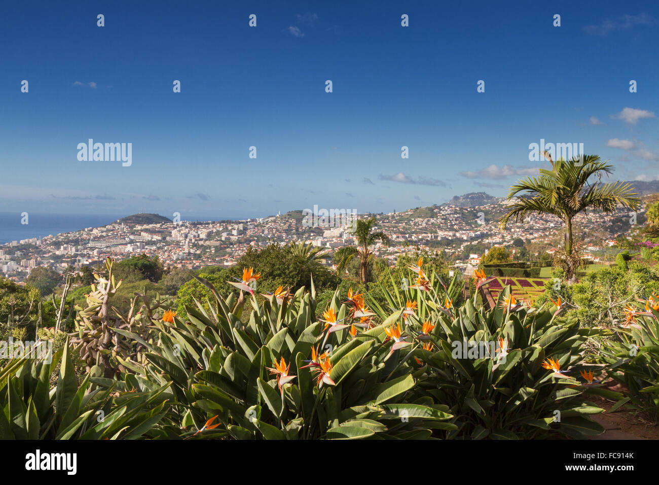 Mirador en el jardín botánico de Funchal, Madeira Foto de stock