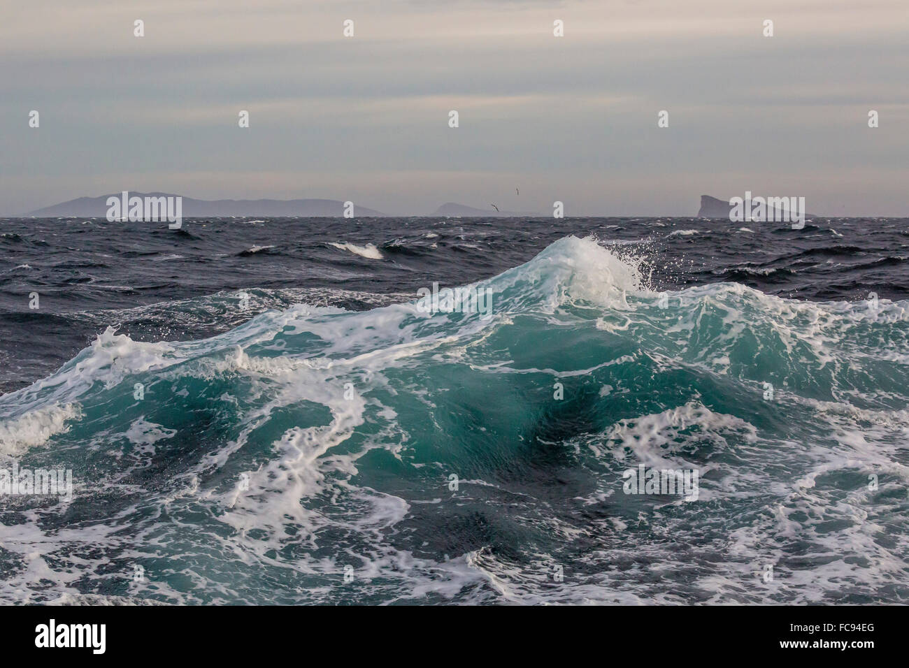 Los fuertes vientos y mares agitados en el enfoque de la nueva reserva natural de la isla, las Islas Malvinas, América del Sur Foto de stock